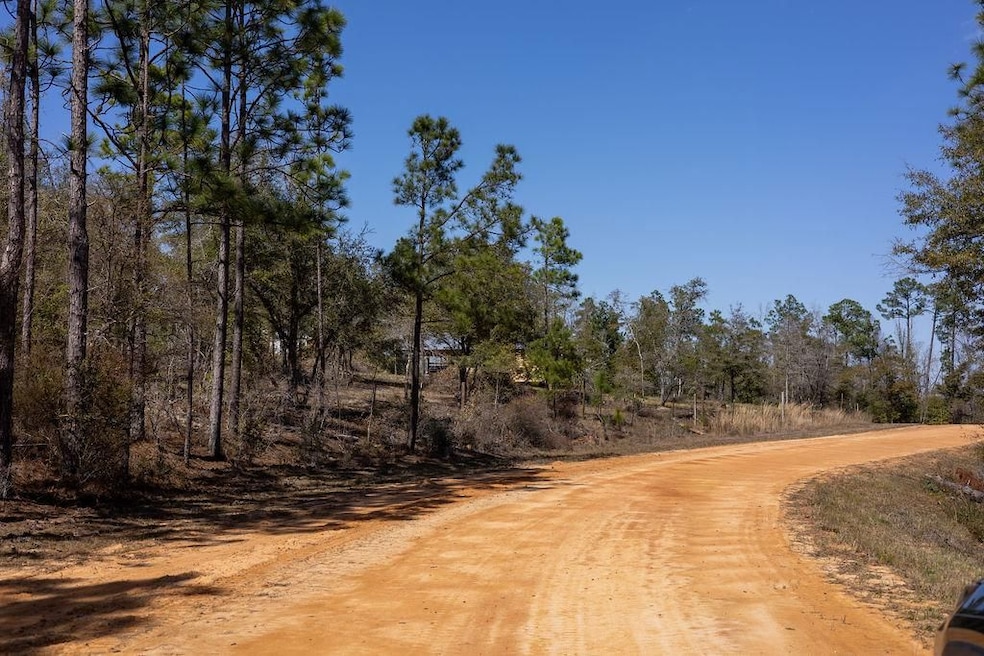 0 Holly Springs Ave unit 25490057, Alford, FL 32420 - photo 1