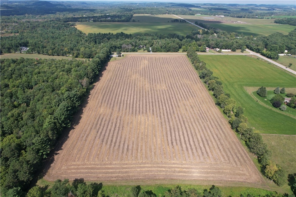 E4610 290th Ave, Menomonie, WI 54751 - photo 1