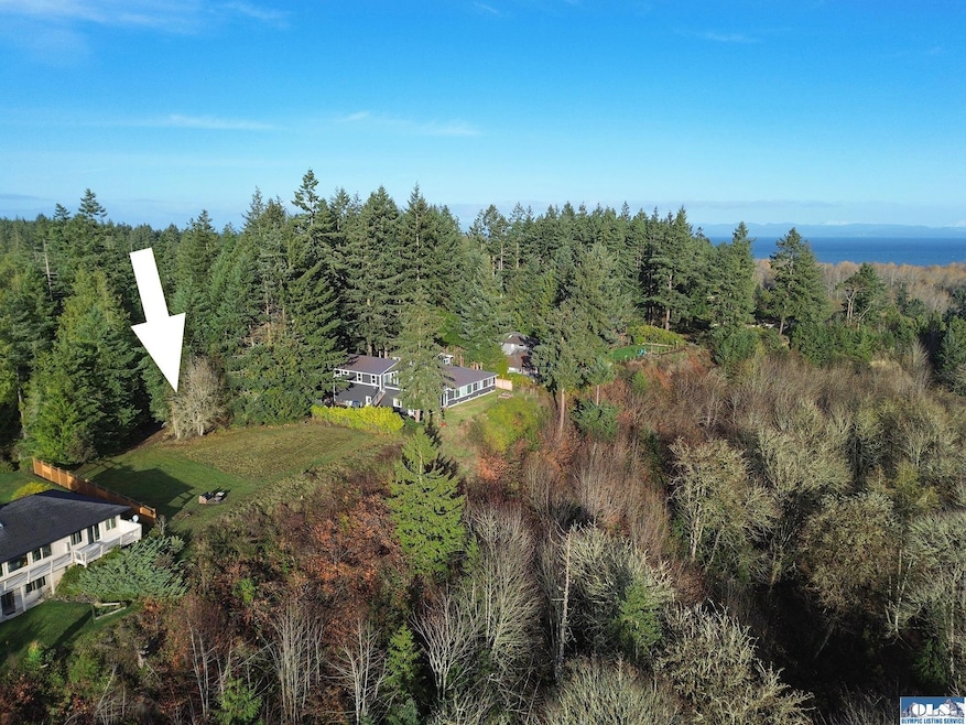 714 Hunt Rd, Port Angeles, WA 98363 - photo 1