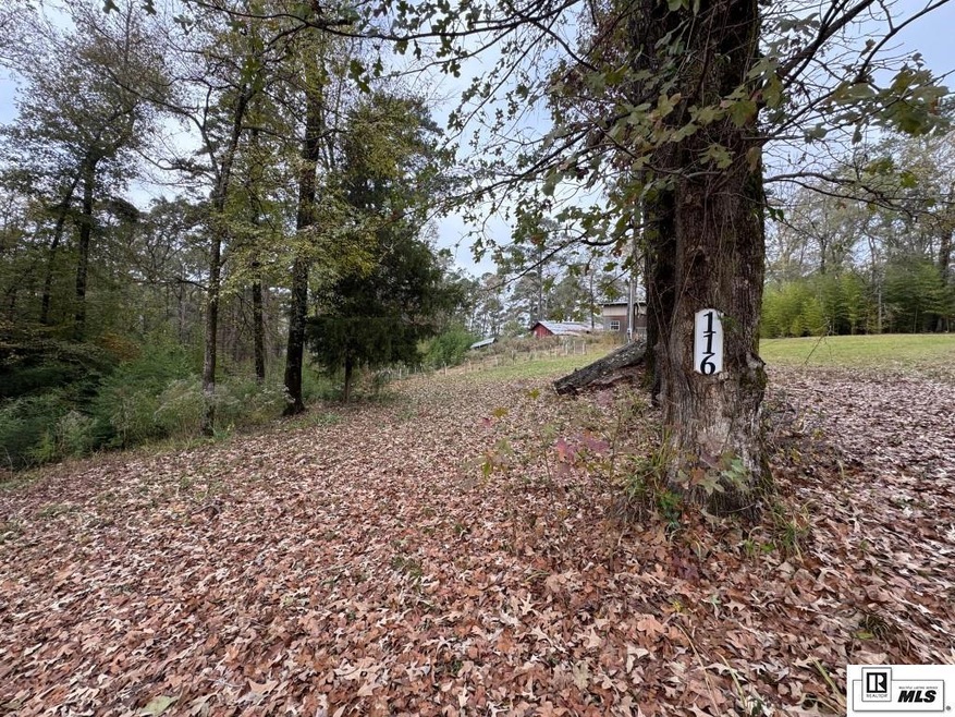 595 Swiftwater Ln unit 116 Spruce LANE, Farmerville, LA 71241 - photo 1