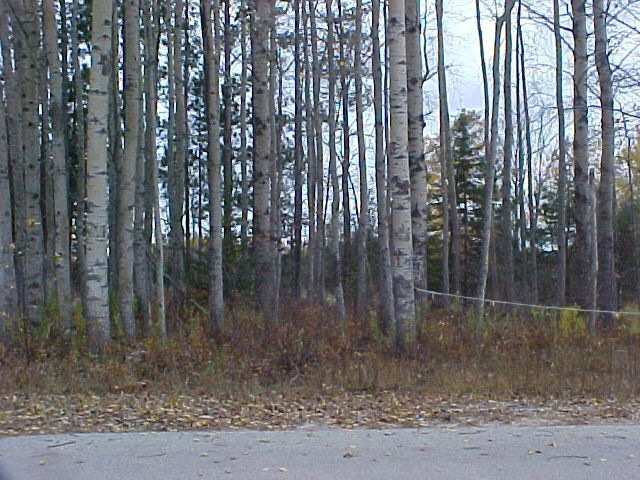 At Lang Rd.