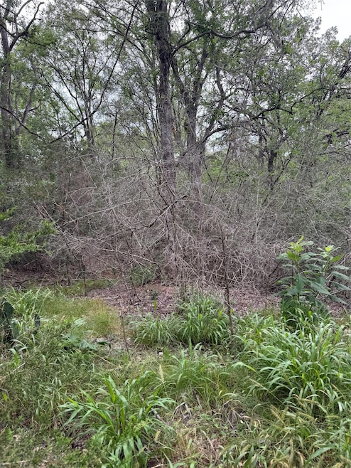 Lot 1035 Kawanui Dr, Bastrop, TX 78602 - photo 1