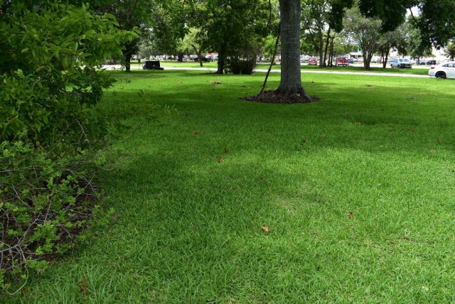 Lot 3-4 Fifth St, Bay City, TX 77414 - photo 1