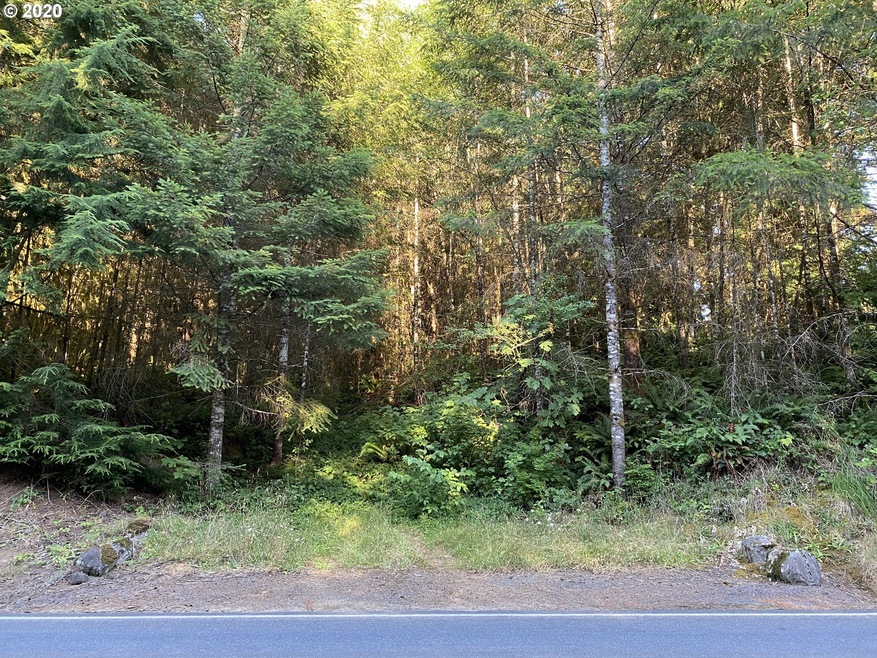 0 Germany Creek Rd unit 20119868, Longview, WA 98632 - photo 1