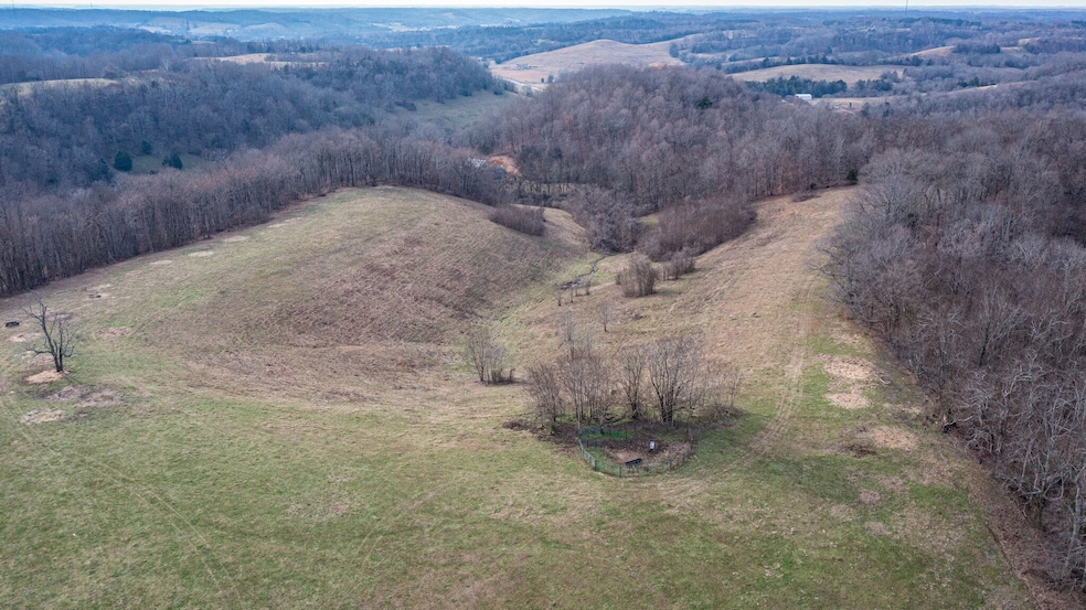 Spectacular property with 66+ rolling acres and 25+A level area. .75 mile road frontage. Ponds, spring-fed creeks. Fenced. House included Sold AS-IS. Schedule showing to see the land and house through the listing agent. 