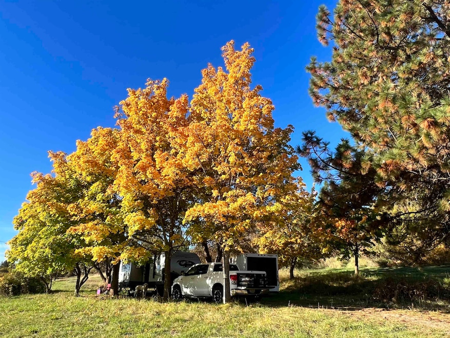 29411 N Dunn Rd, Chattaroy, WA 99003 - photo 1