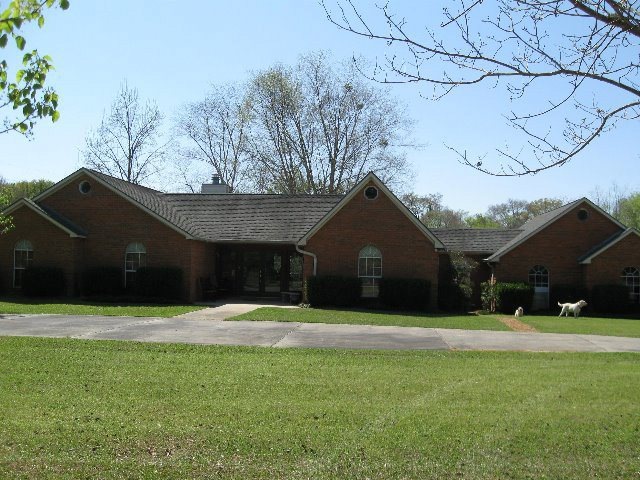 Main View