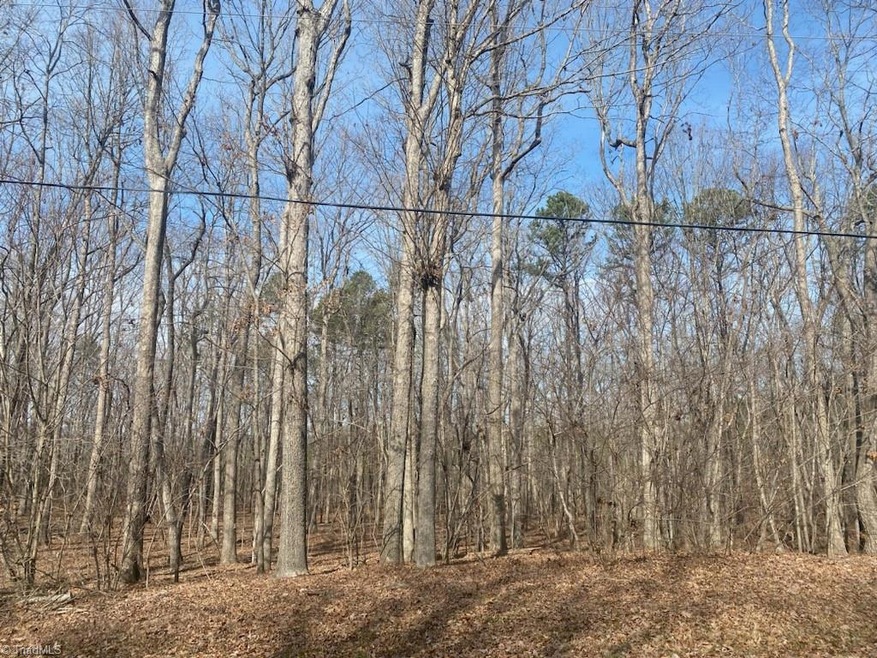 Tract 1 Monroe Ave, Asheboro, NC 27205 - photo 1