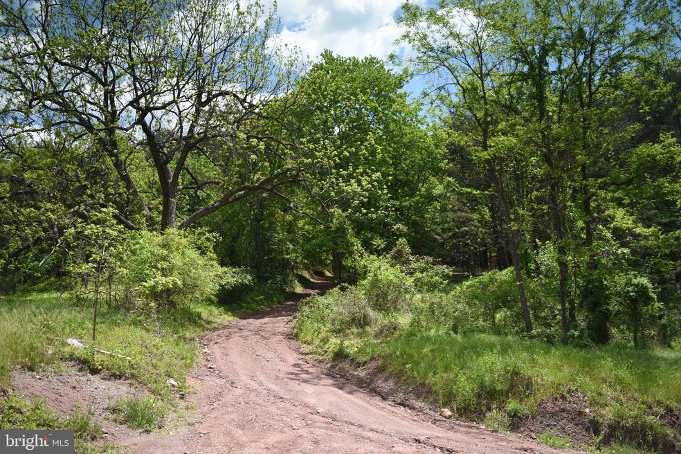 458 Gaither Rd, Great Cacapon, WV 25422 - photo 1