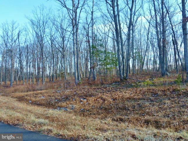 LOT 35 Comforter Ln, North River, VA 22645 - photo 1