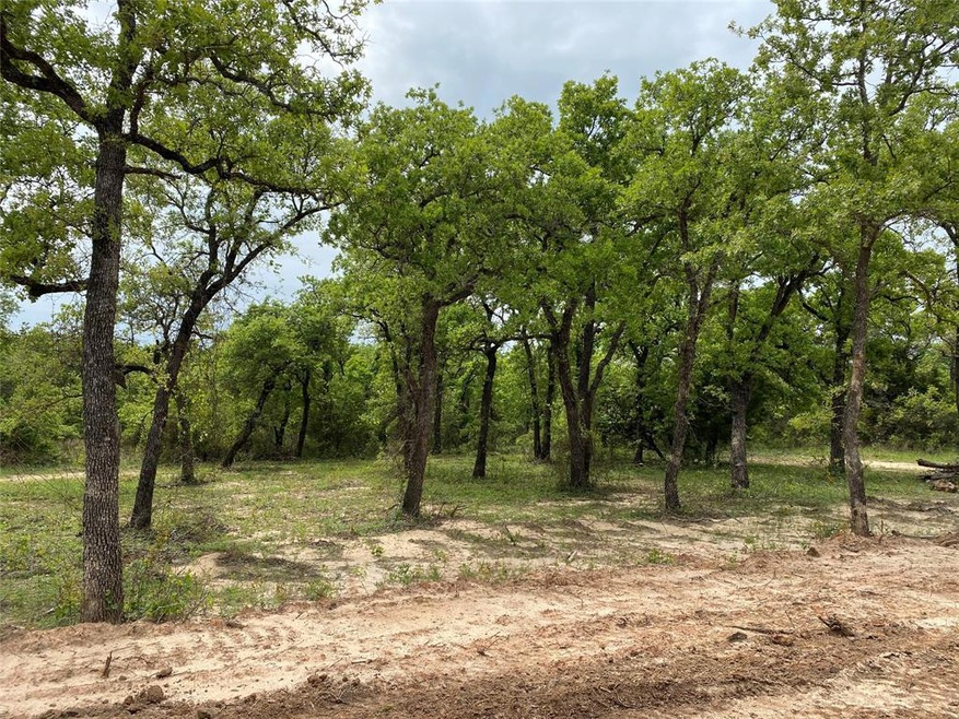 Lot 32 Dry Creek Rd, Weatherford, TX 76088 - photo 1