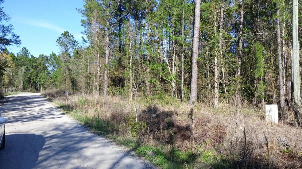 0 Osceola Trail unit 756166, Middleburg, FL 32068 - photo 1
