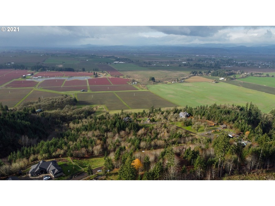 0 SE Sartore Rd unit 21649794, Amity, OR 97101 - photo 1