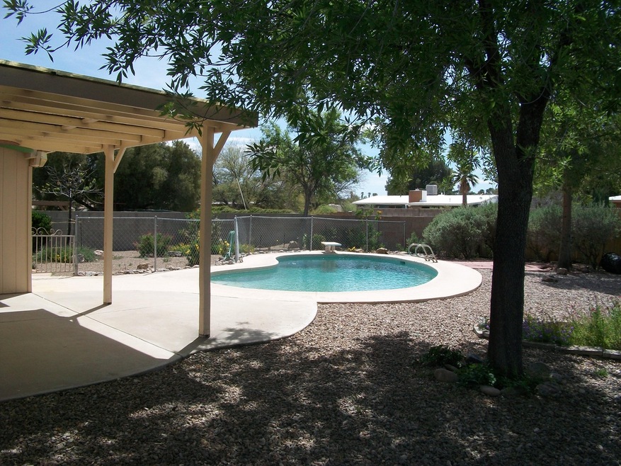 beautiful backyard
