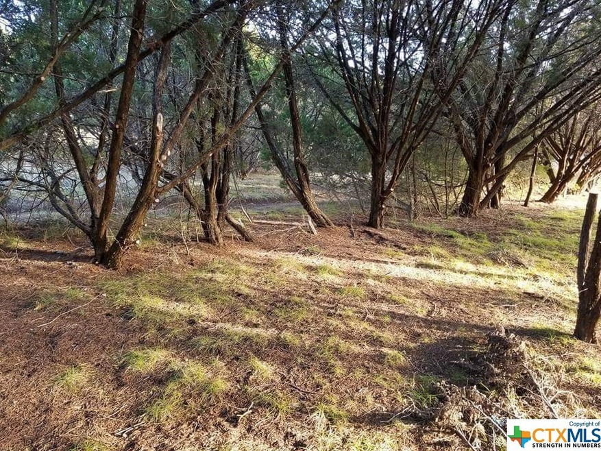 930 Cr 4804, Copperas Cove, TX 76522 - photo 1