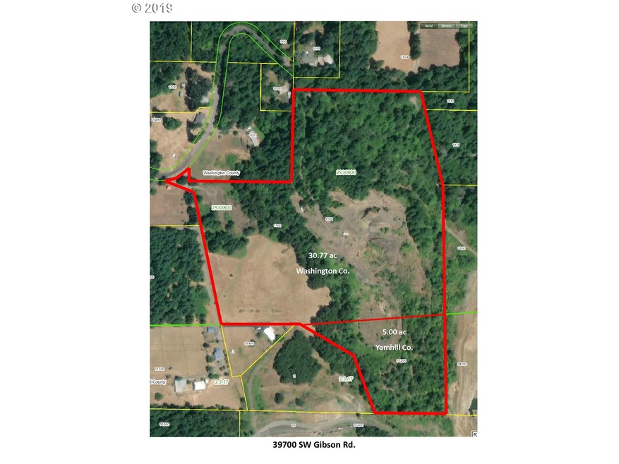39700 SW Gibson Rd, Gaston, OR 97119 - photo 1