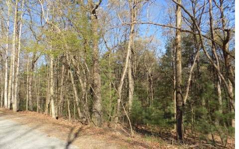 2 LTS Ridge Crest Cir, Ellijay, GA 30540 - photo 1