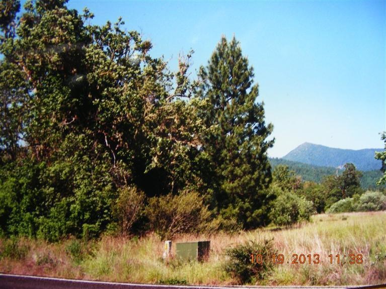 Primary Photo
