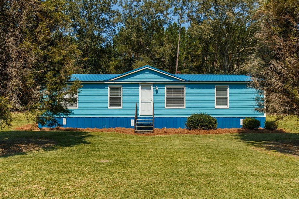 502 Gallie Lissimore Rd, Adel, GA 31620 - photo 1
