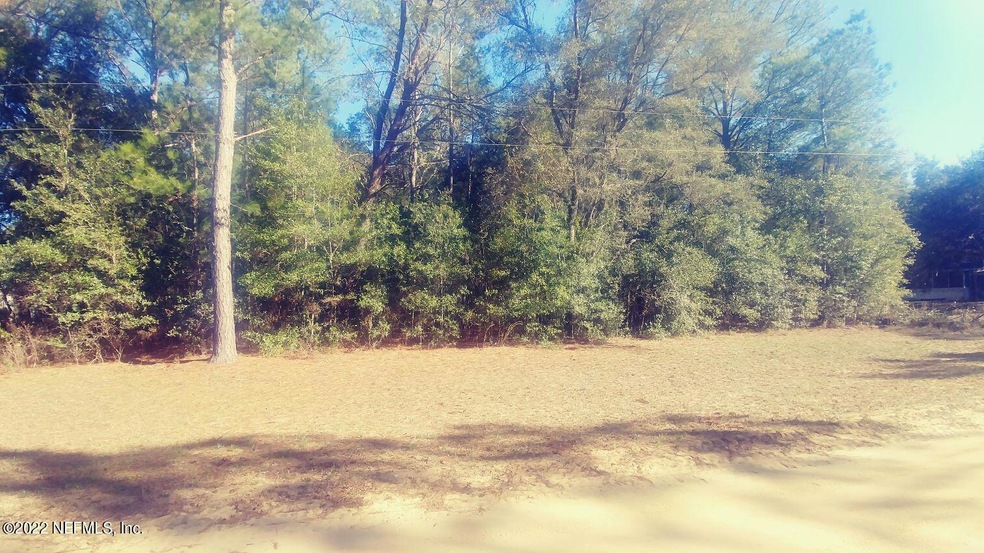 0 Scott Ave unit 1205757, Florahome, FL 32140 - photo 1