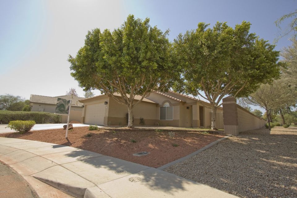 1 Front yard