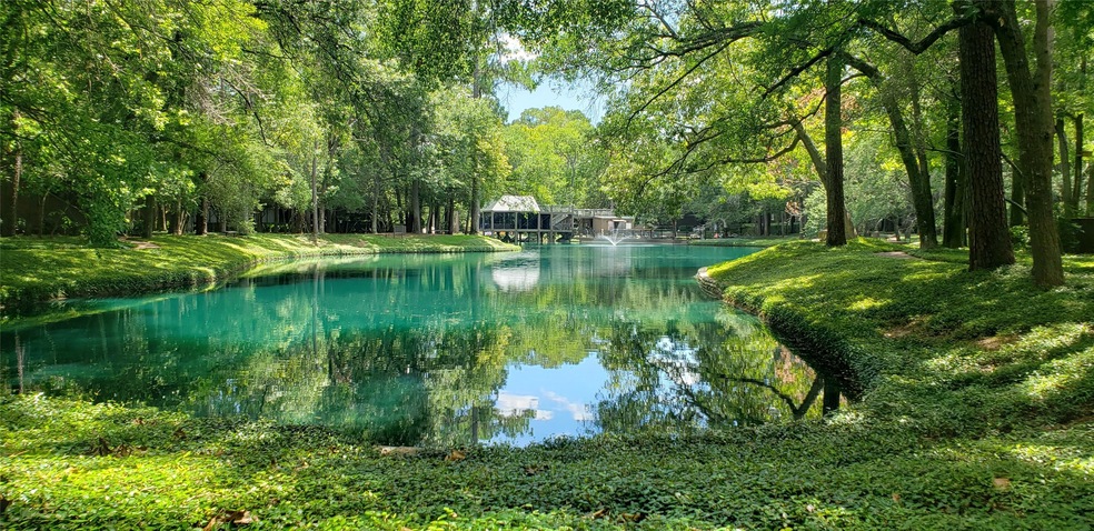 219 Litchfield Ln, Houston, TX 77024 - photo 1