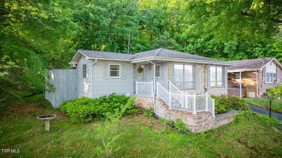 607 E Market St, Johnson City, TN 37601 - photo 1