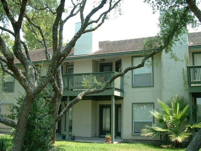Main View