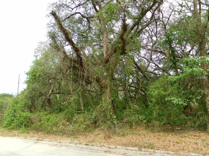 106 Mazie Dr, Zephyrhills, FL 33541 - photo 1