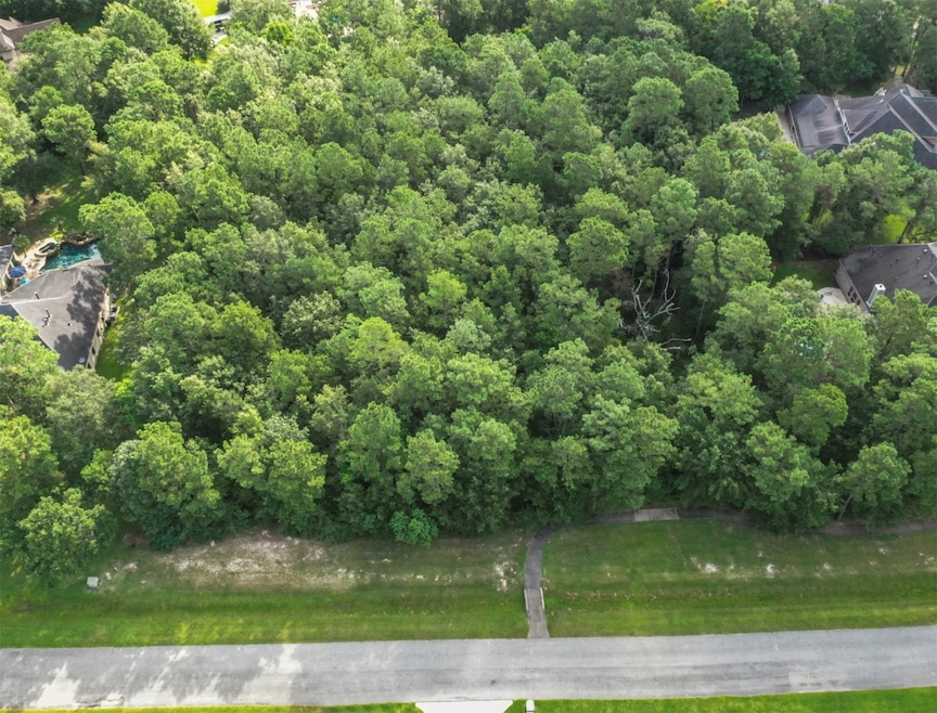 28506 Waterbend Way, Spring, TX 77386 - photo 1