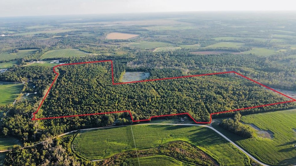 00 Herrington Rd, Hazlehurst, GA 31539 - photo 1