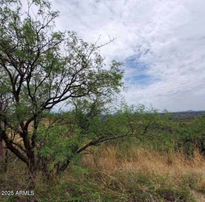 580 Cave Ln unit 49, Rio Rico, AZ 85648 - photo 1