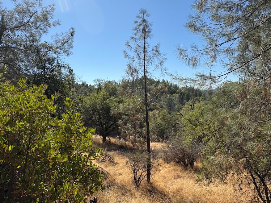 Sold $25,000 • Co-Listing Agent