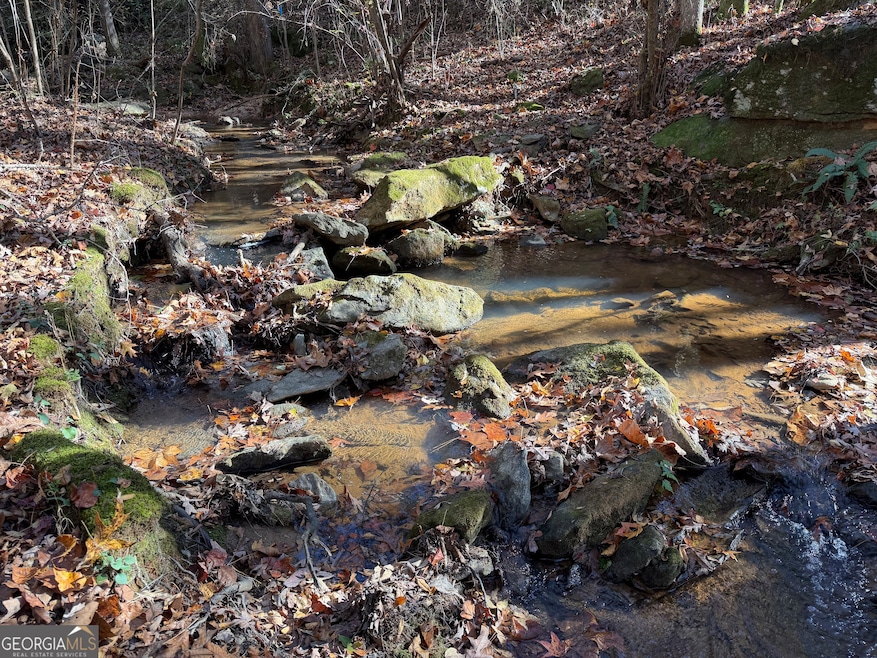 0 Thurman Baccus Rd unit 10647779, Social Circle, GA 30025 - photo 1