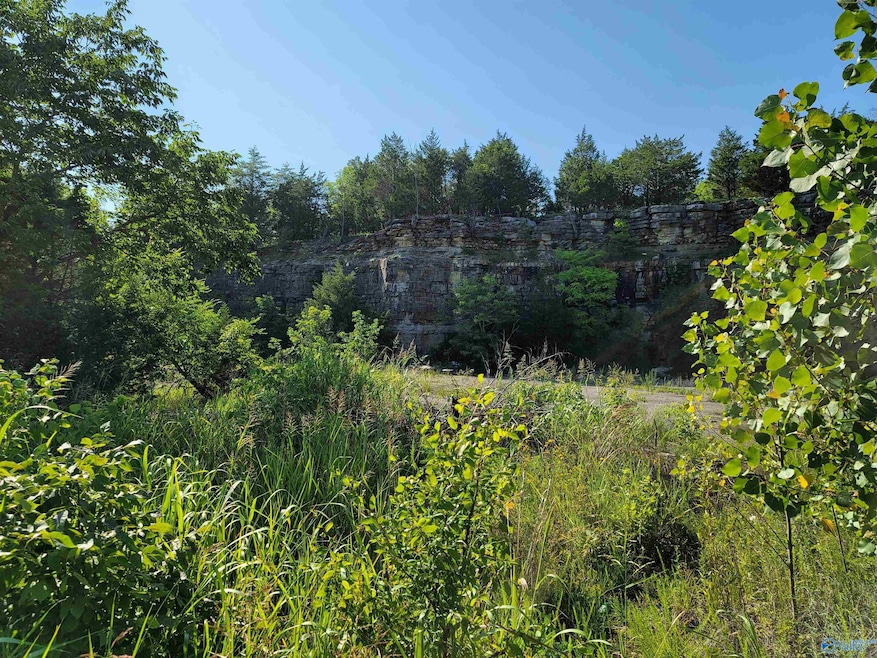 1 Union Hill Rd, Somerville, AL 35670 - photo 1