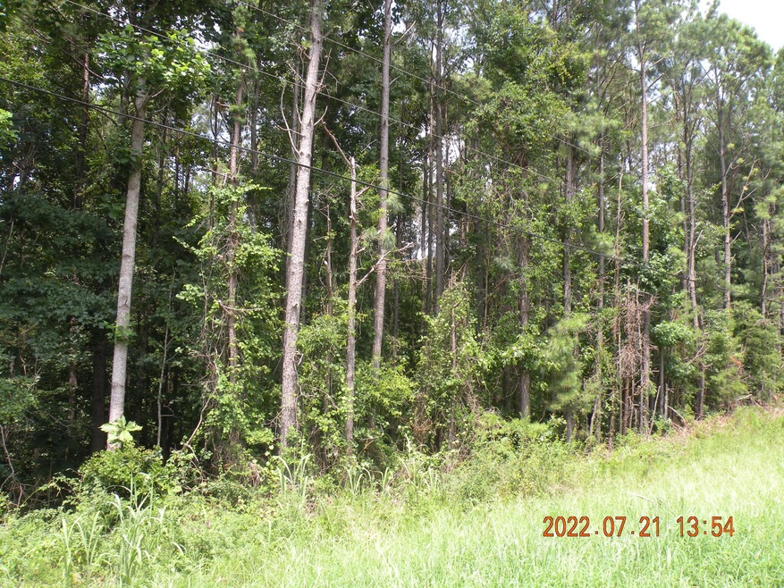 DSCN6577