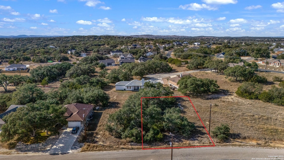 231 Peter Kleid Loop, Blanco, TX 78606 - photo 1