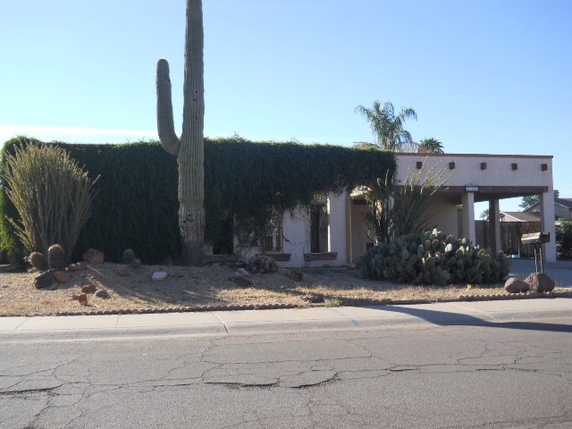 023-263429 - Front