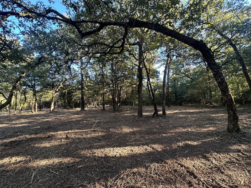 TR 2 Cr 219, Buffalo, TX 75831 - photo 1