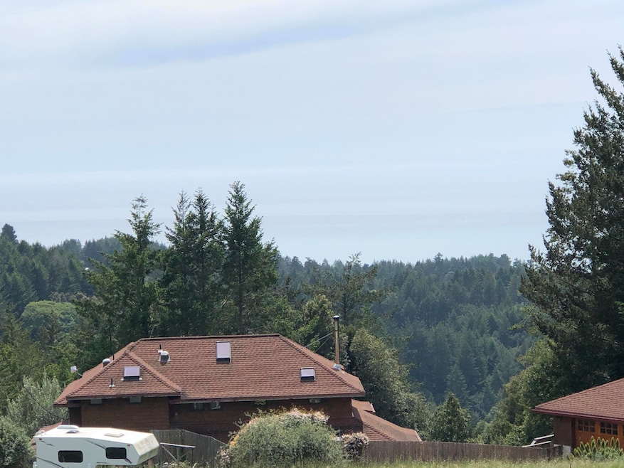the view