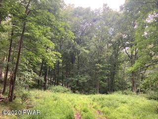 Lots 24,25 Blossom Rd, Lackawaxen Township, PA 18435 - photo 1