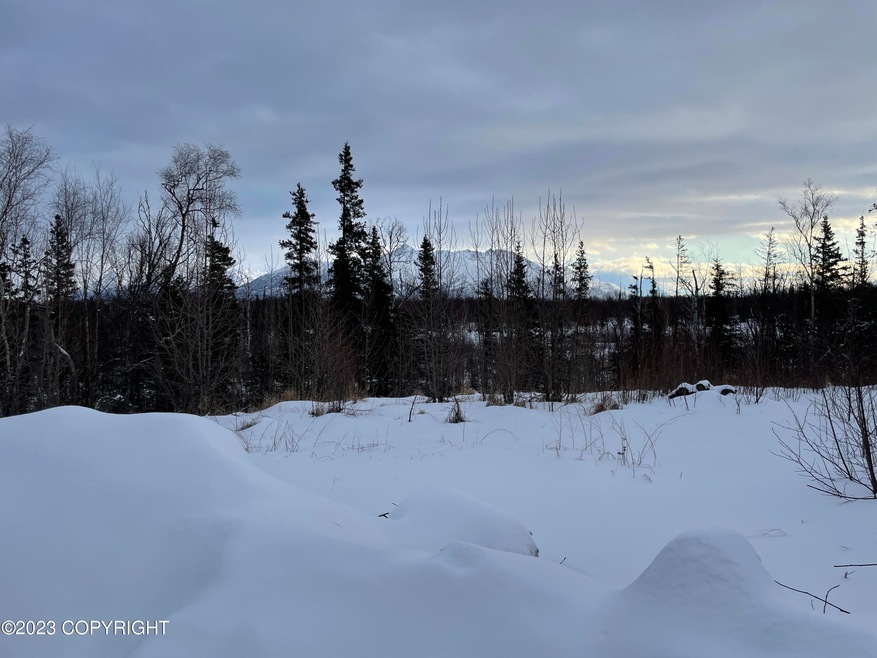 Winter View
