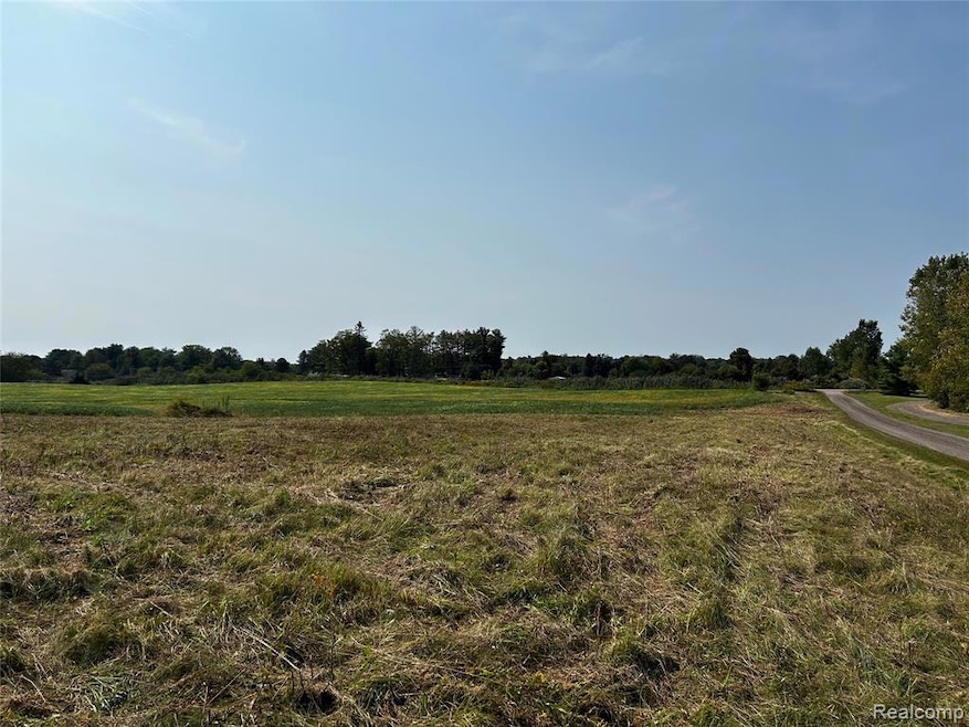 Parcel N N Hacker Rd, Hartland Township, MI - photo 1