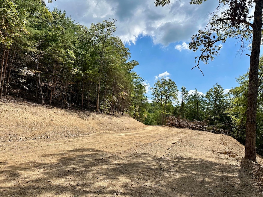 424- TRACT 4 Kentucky 577, Fogertown, KY 40962 - photo 1