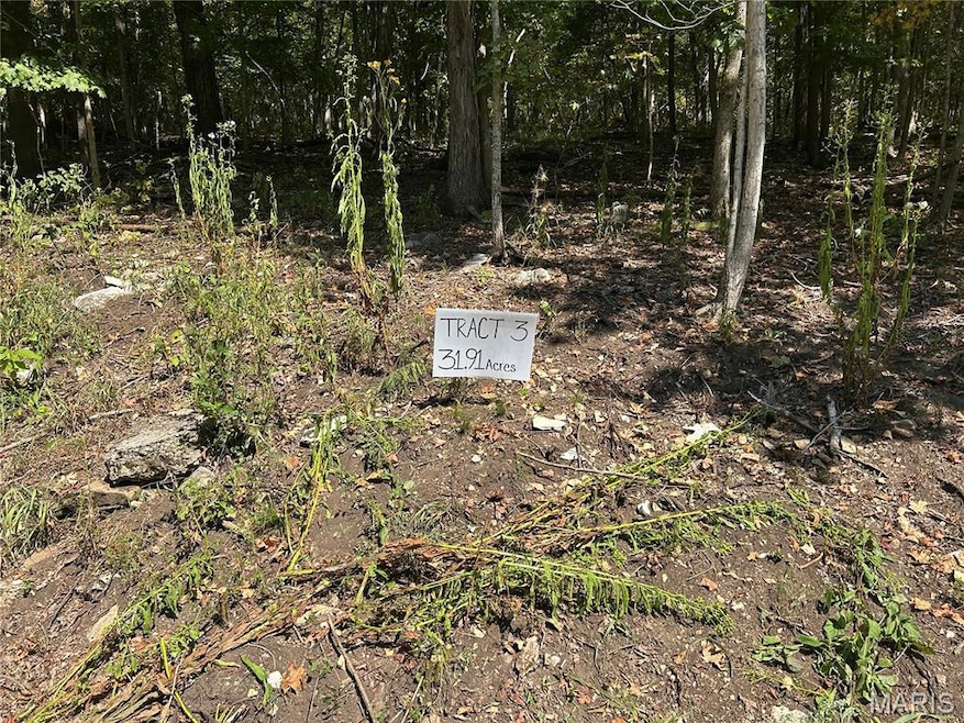 2000 Lot 3 Crossroads Rd, Joachim Township, MO 63012 - photo 1