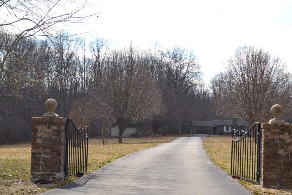 Looking up the Long Driveway
