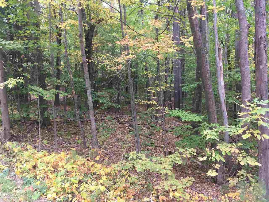 0 Lull Rd unit 358-2 4786407, Weare, NH 03281 - photo 1