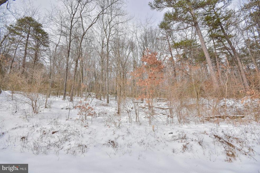 2965 Hampshire Grade Rd, Hedgesville, WV 25427 - photo 1