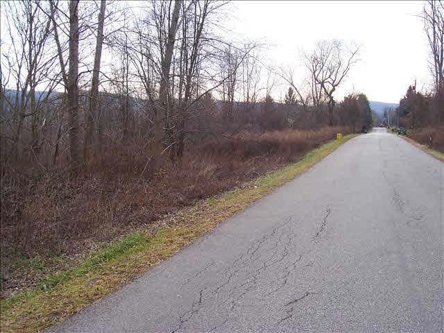 41 Brothers Rd, Stormville, NY 12582 - photo 1