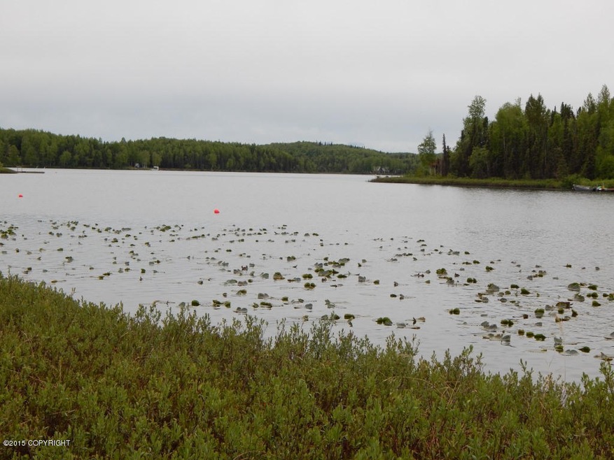 Beautiful Nancy Lake Front Lot!